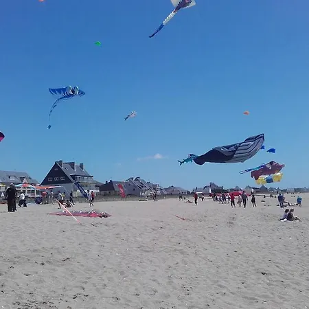 Les Chants D'ailes - Face