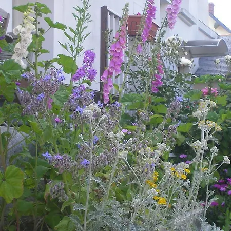 Hotel Les Chants D'ailes - Face La Turballe