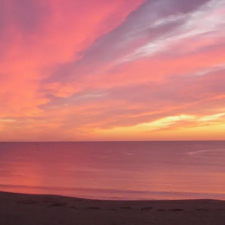 Les Chants D'ailes - Face Hotel La Turballe