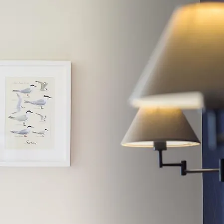 Les Chants D'ailes - Face