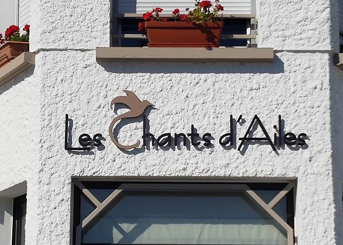 Hotel Les Chants D'ailes - Face 3*