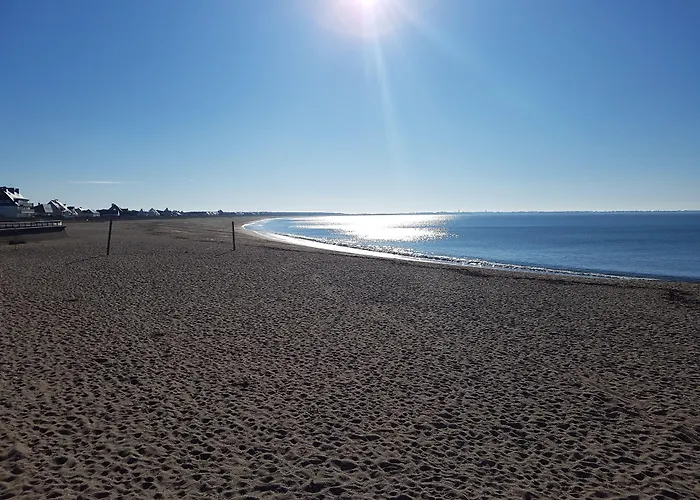 Les Chants D'ailes - Face La Turballe