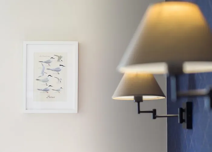 Les Chants D'ailes - Face