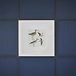 Les Chants D'ailes - Face 3*