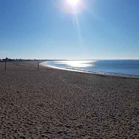 Les Chants D'ailes - Face La Turballe