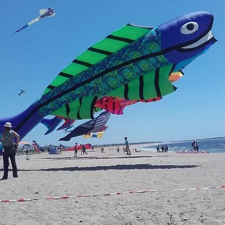 Les Chants D'ailes - Face 3*