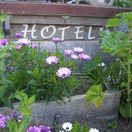Hotel Les Chants D'Ailes - Hotel Face Mer 3*