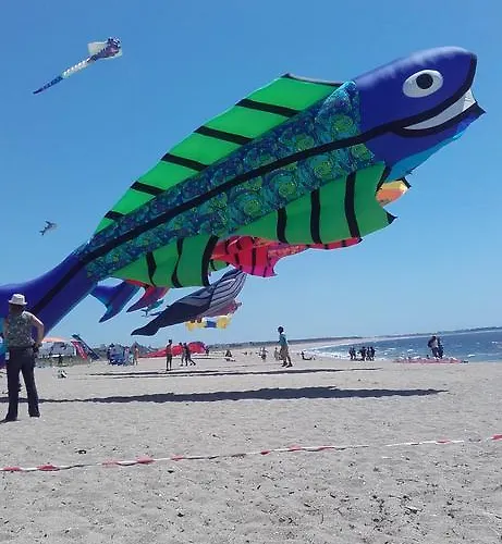 Les Chants D'ailes - Face 3*