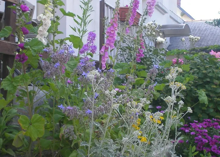 فندق Les Chants D'ailes - Face لا توربال
